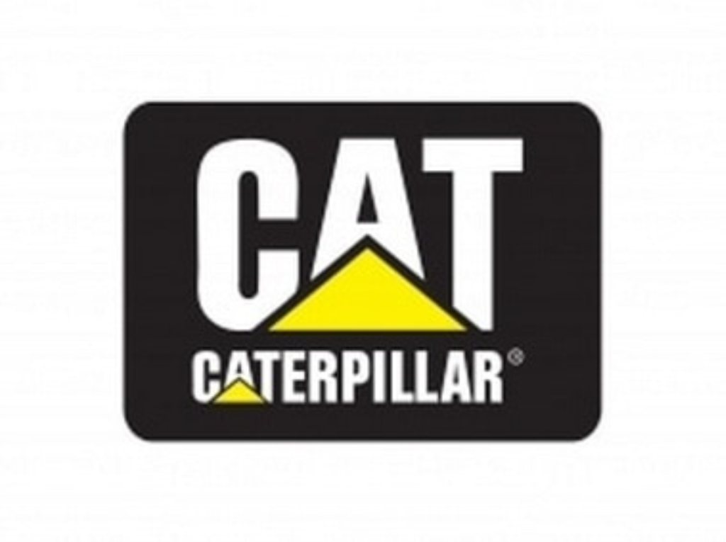 CAT LOGO